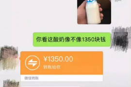 鼎城鼎城的要账公司在催收过程中的策略和技巧有哪些？